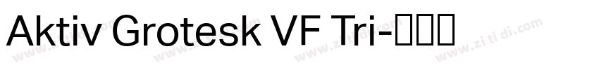 Aktiv Grotesk VF Tri字体转换